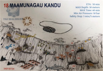 Maamunagau Kandu